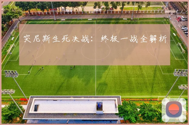 突尼斯生死决战：终极一战全解析