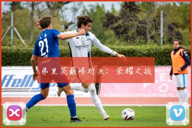 弗里茨巅峰对决：荣耀之战