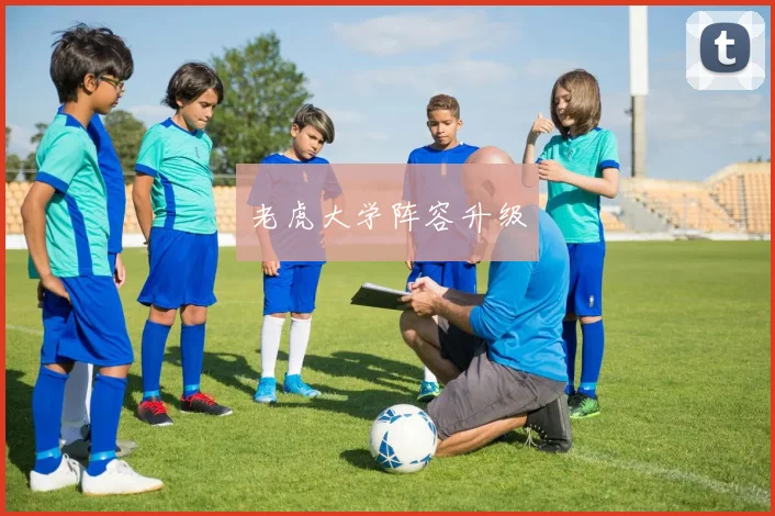 老虎大学阵容升级