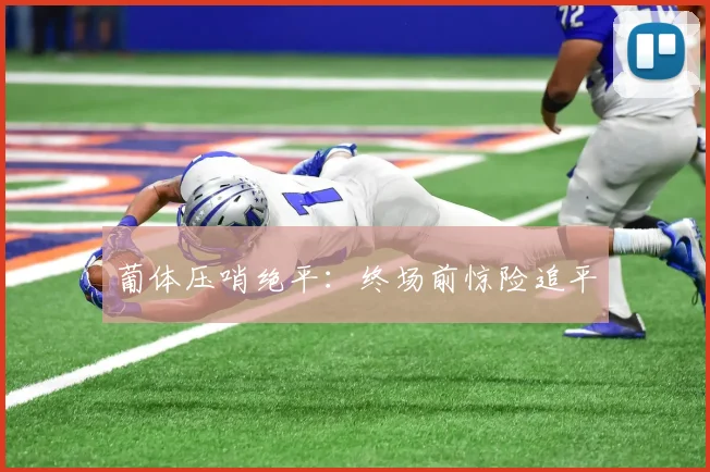 葡体压哨绝平:终场前惊险追平