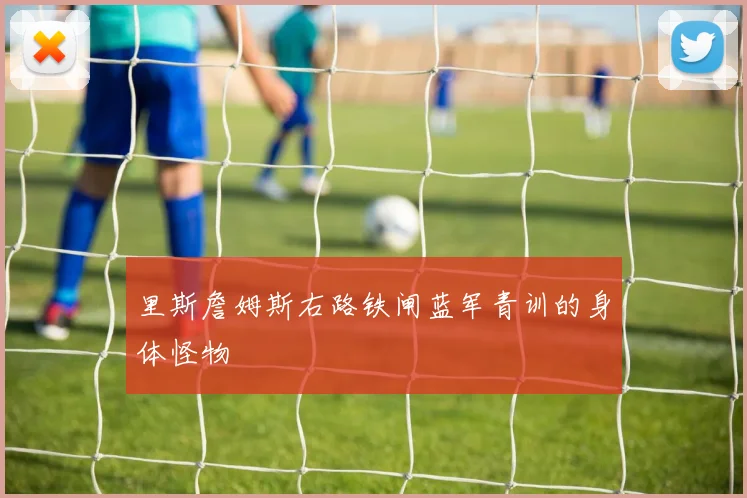 里斯詹姆斯右路铁闸蓝军青训的身体怪物