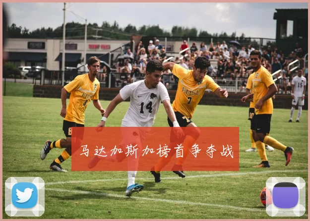 马达加斯加榜首争夺战