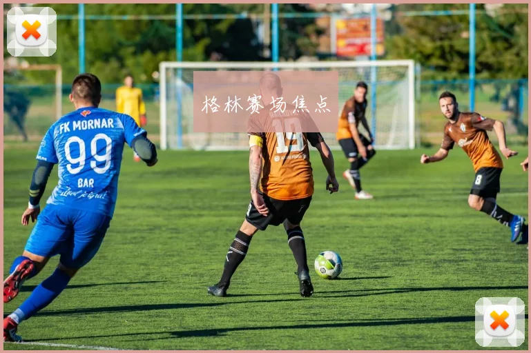 格林赛场焦点