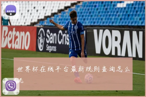 世界杯在线平台最新规则查询怎么玩