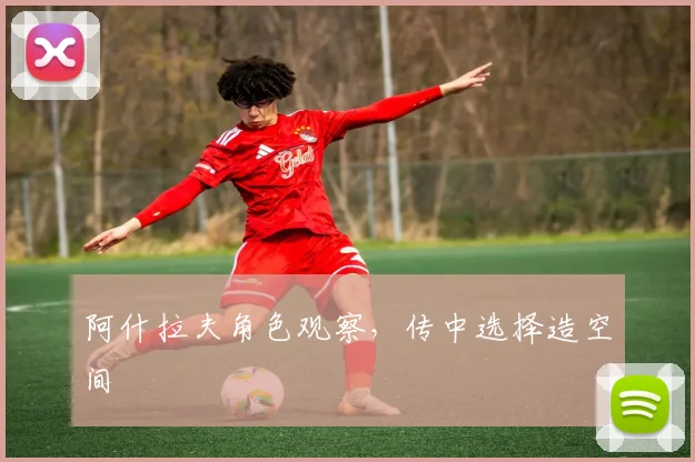 阿什拉夫角色观察，传中选择造空间